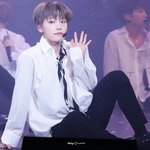 [세븐틴] 잠시 쉬어가는 게<b>시물</b>