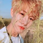 [NCT즌] 근데 새삼 런쥔이 <b>셀카</b> 잘 찍는 거 같음