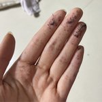 [이것좀봐줘] 아디다스 옷 이래도 되나요