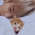 [NCT즌] 최애<b>못정</b>하고있었는데