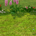 [레이] 사담)puppies <b>version</b>