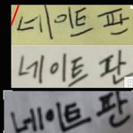 수진 <b>다중</b>이와 피해자언니의 연계성