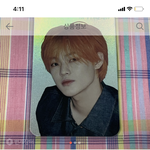[NCT즌] 플에안맞쥐만 이거<b>시세</b> 이렇게높아???