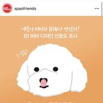 [EXO] 오비비x슾하오 콜라보 떴다