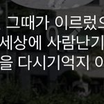 아니 우리 과학쌤 <b>상</b><b>메</b> 무ㅏ냐