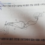 [댓글부탁해] 혹시 생명 하는 이과생 있니..? 문제 하나만 알려주라ㅜㅜ