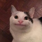 영어 <b>본문</b> 해석 쓰는거