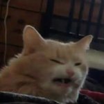 얘들아 나 일자뱅으러 <b>자름</b>