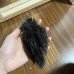 [드루와] 기분 ㅈ같아서 머리<b>자름</b>