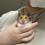 [댓글부탁해] 쌍수 <b>티나</b>??