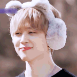 [방탄소년단] 울 강냥이 숨겨