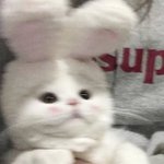 숱 많ㅇㅡ먄 단발이 나아 <b>장발</b>이 나㉵??