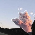 [댓글부탁해] 야 얘들아 크리스피도넛