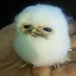 [NCT즌] 천러 이 모자만 보면 왜케  웃기지