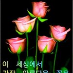 [댓글부탁해] 아주머니들 댓글보면 마음 따뜻해짐