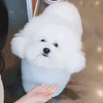 [댓글부탁해] <b>특성</b>화 다니는 애들 물어볼거 있음