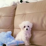 아니 ㅈ가 더 못하는데 남한테 <b>훈수</b>두는거