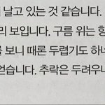 [방탄소년단] 나는 진짜 오늘도 확신한다