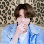 나는 김석진