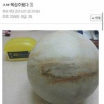 나 다리 뭐가 문젤까ㅠ