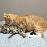 다시 만나면 적극적 <b>대시</b> 할게