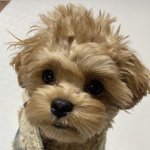 [<b>AB6IX</b>] 나에게 토리사진을 달라