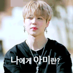 [방탄소년단] 지미니에게 <b>아미</b>란?