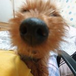 [댓글부탁해] 친구가 자꾸 <b>장애</b>장애 거림