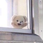 [댓글부탁해] 얘들아 <b>휠라</b> 신발이 그렇게 별로야...??