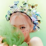 로제 유튜브 올라왔다 ㅋㅋ