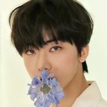 [NCT즌] 와 고화질돌렸는데 <b>극락</b>이네이