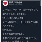 [진격의거인] ‼️이 꽃 이름,<b>꽃말</b>이 드디어...ㅠㅠ