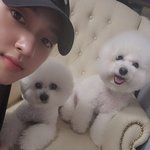 [골든차일드] <b>봉지</b> 봉구 왜 더 어려진 것 같지? ㅋㅋㅋ