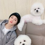 [골든차일드] <b>주인</b> 닮은 강아지 갑인듯
