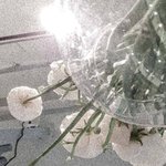 [웨이션브이] 팬톡 <b>창시자</b>야