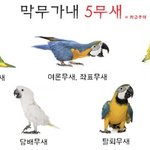 야 수진글 그만쓰라고 <b>지루</b>하다고 했잖아