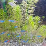 [진격의거인] 138ㅅㅍ  138화 <b>본사람</b>만 공감 ㄱㄴ짤ㅋㅋㅋㅋㅋㅋ