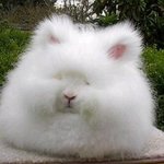 [더보이즈] <b>찬희</b> 기디업때 약간