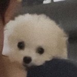 갑자기 ㅈㄴ현타와서 <b>판</b> <b>앱</b>삭함ㅂㅂ
