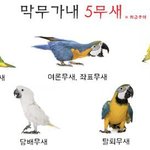 <b>수진</b> 얘기 지겹다메
