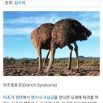 수진 시녀들 전문가의 자문으로 <b>병명</b> 찾아냈다.