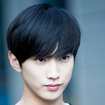 내취향 진짜 소나무임