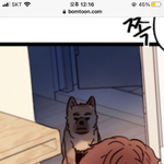 울<b>집개</b>도 나 밤에 좌위하면 이러고 쳐다보던데