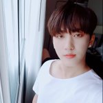 [스키즈] <b>스테이</b>들