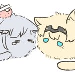 [19] 모고 막 던지는 애들 있던데