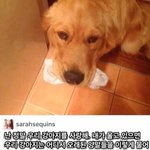 [드루와] 이거 <b>NCT</b> 노래야??? 마크목소리