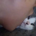 [댓글부탁해] 인스타맞팔안해주면