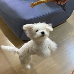 [댓글부탁해] 니네 손<b>민수</b>할때