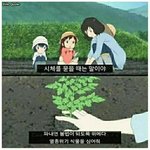 [진격의거인] 이거 아커만즈