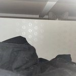 [댓글부탁해] 고양이좀 살린다 생각하고 도와줘